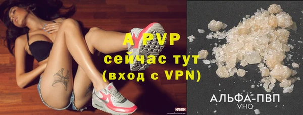 стафф Россошь