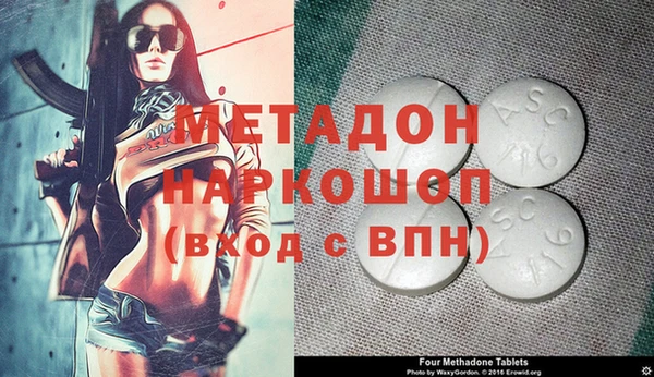 стафф Россошь